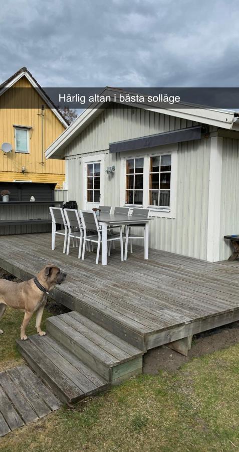 Villa Sus & Dus Yngsjö Extérieur photo